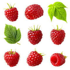 Collection of Fresh Raspberries and Green Leaves Isolated on Black Background