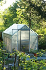 A greenhouse with a small garden inside
