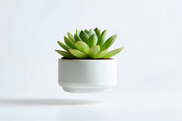 Modern floating planter with a small green succulent hovering above a magnetic base. Perfect for interior design, eco-themed visuals, and futuristic decor.