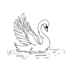 swimming swan vector drawing