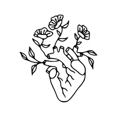 blooming heart line art
