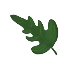 Hand Painted Green Oak Leaf Clipart &ndash; Organic Botanical Illustration PNG with Transparent Background