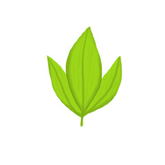 Hand Drawn Green Three-Leaf Botanical Illustration -  Clipart

