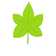 Hand Drawn Green Maple-Shaped Leaf - Botanical Illustration
