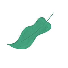 Artistic Botanical Leaf Illustration with Clean Lines