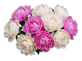 Fototapeta premium A beautiful bouquet of pink and white peonies isolated on transparent background