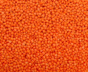 Background of red dry lentils.