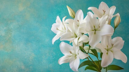Close-up of elegant white lilies against a teal background, perfect for sympathy cards, wedding invitations, or floral designs.