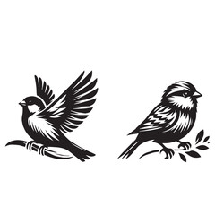 sparrow  set silhouette tattoo,sparrow silhouette flying ,sparrow silhouette pictures ,jack sparrow set silhouette