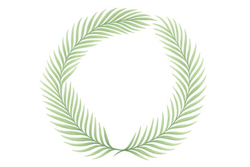Obraz premium Vibrant tropical palm fronds arching symmetrically, forming organic circular frame against transparent white backdrop