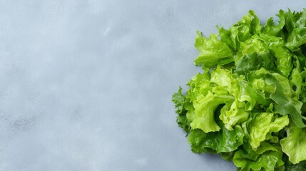 Crisp emerald lettuce nestles on stormy slate, evoking Earth Day's verdant renewal and raw vegan vibrance