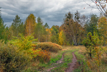 Heavy clouds hung over the autumn forest and meadow.