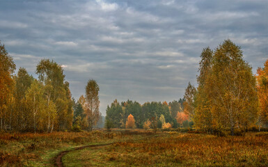 Heavy clouds hung over the autumn forest and meadow.