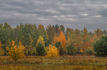 Heavy clouds hung over the autumn forest and meadow.