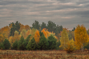 Heavy clouds hung over the autumn forest and meadow.