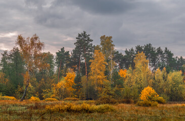 Heavy clouds hung over the autumn forest and meadow.