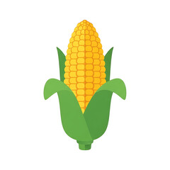 Obraz premium Corn on the Cob Illustration