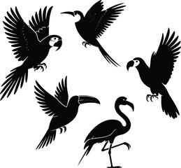 Obraz premium Silhouette Collection Tropical Birds in Flight – Macaw, Toucan, Flamingo