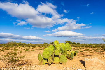 Scenic View at Big Bend Nationalpark, Texas, USA
