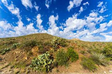 Scenic View at Big Bend Nationalpark, Texas, USA