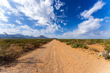 Scenic View at Big Bend Nationalpark, Texas, USA