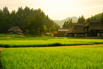 田舎の風景　荻ノ島環状集落