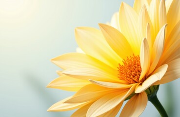 Obraz premium Close-up of a vibrant yellow flower with soft background for floral design use
