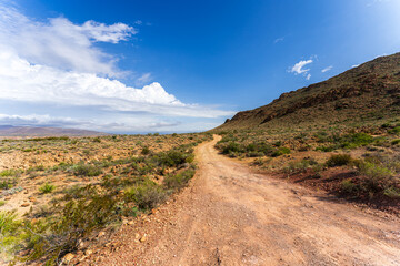 Scenic View at Big Bend Nationalpark, Texas, USA