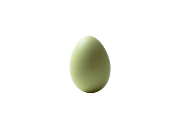 a green egg is shown on a white background