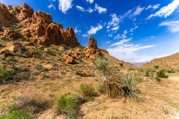 Scenic View at Big Bend Nationalpark, Texas, USA