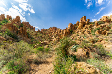 Scenic View at Big Bend Nationalpark, Texas, USA