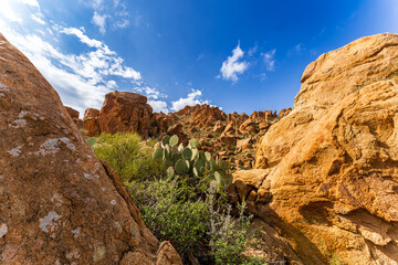 Scenic View at Big Bend Nationalpark, Texas, USA