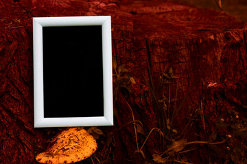 White frame with black space for text on red nature