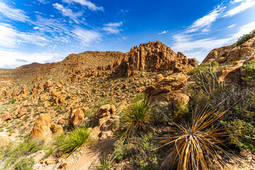 Scenic View at Big Bend Nationalpark, Texas, USA
