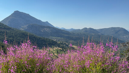 views of the lake, fields and mountains from the summit