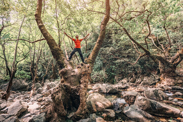 Adventurous hiker standing on a large tree surrounded by lush forest, enjoying nature and the...