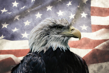american flag with eagle