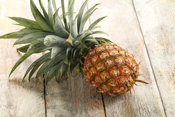 Tropical sweet exotic Pineapple fruit