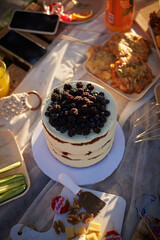 pallet with food in a park, holiday picnic