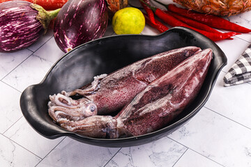 Raw fresh squid for cooking