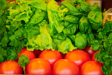 Top view of assorted fresh vegetables including tomatoes, cucumbers, chili peppers, and bell peppers, perfect for recipes and meal prep.