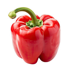 Close-up of a vibrant red bell pepper