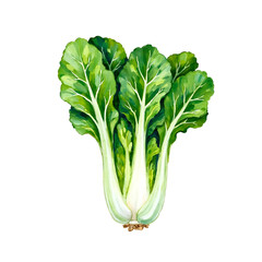 Bok Choy Watercolor Clipart PNG – High-Resolution Printable Transparent Background
