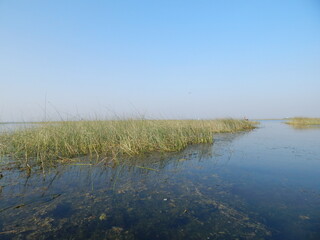 Tranquil autumn landscape with reeds reflecting in the blue river under a cloudy sky