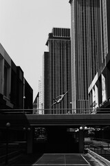 Black and white photo of a man performing a parkour trick. Extreme sports photo.