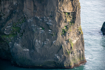 A vast black sand beach stretching endlessly, shaped by volcanic activity and roaring Atlantic...