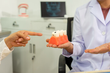 Dentist explains dental health using tooth model in clinic