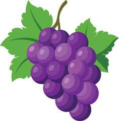 A bunch of ripe purple grapes with green leaves on a white background