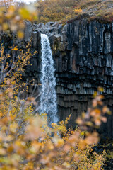 Skaftafell is a nature reserve with glaciers, hiking trails, and Svartifoss, a striking waterfall...