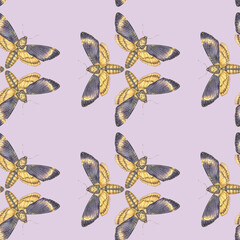 Seamless watercolor pattern featuring death's-head hawkmoth butterflies on a violet background. Perfect for textiles, wallpapers, gothic decor, and mystical designs.